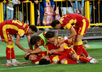 Allarme Prevendita! Catanzaro–Entella a Rischio Code Infinite: Il Club Svela le Nuove Regole Biglietti